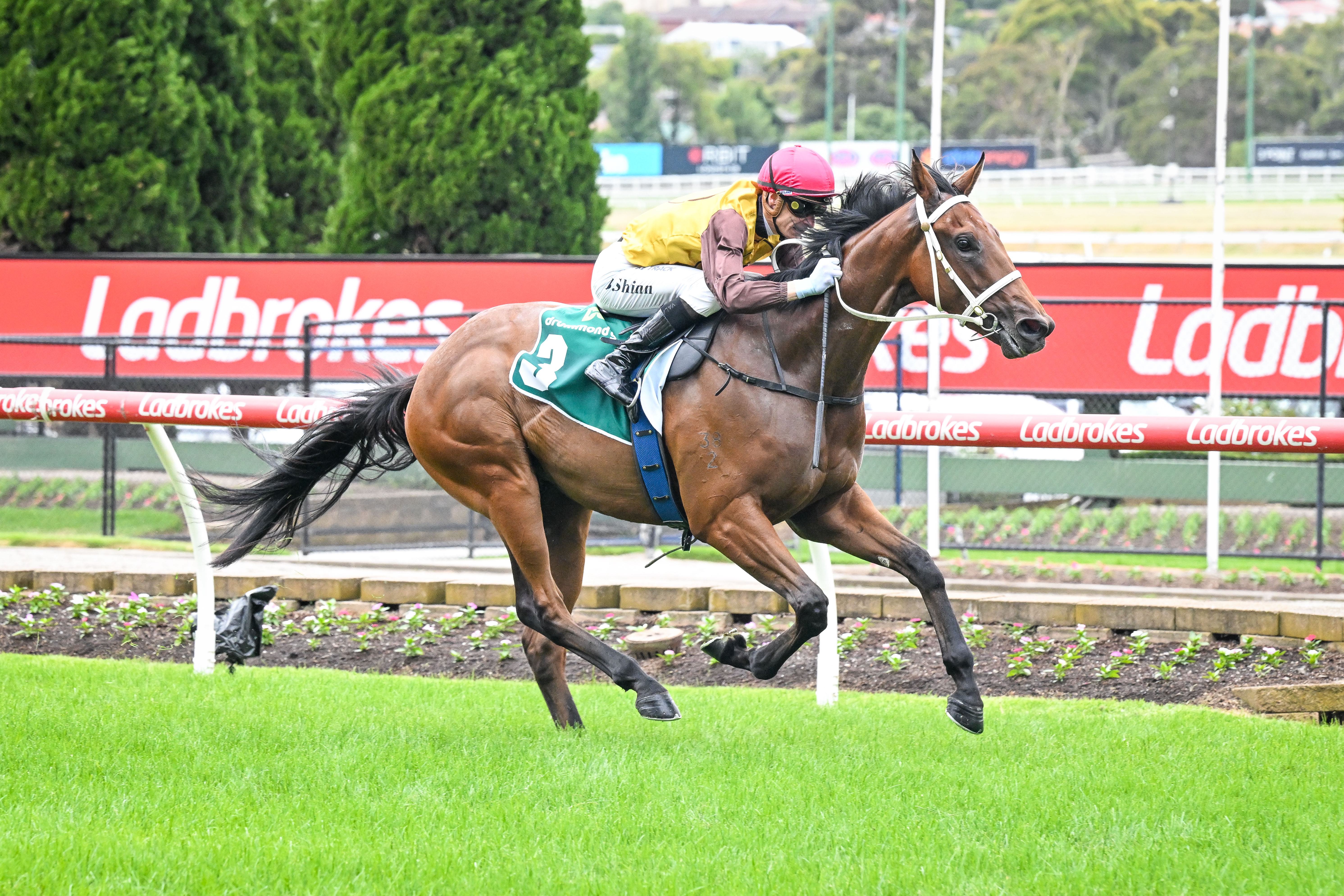 Field Of Play dominant on debut